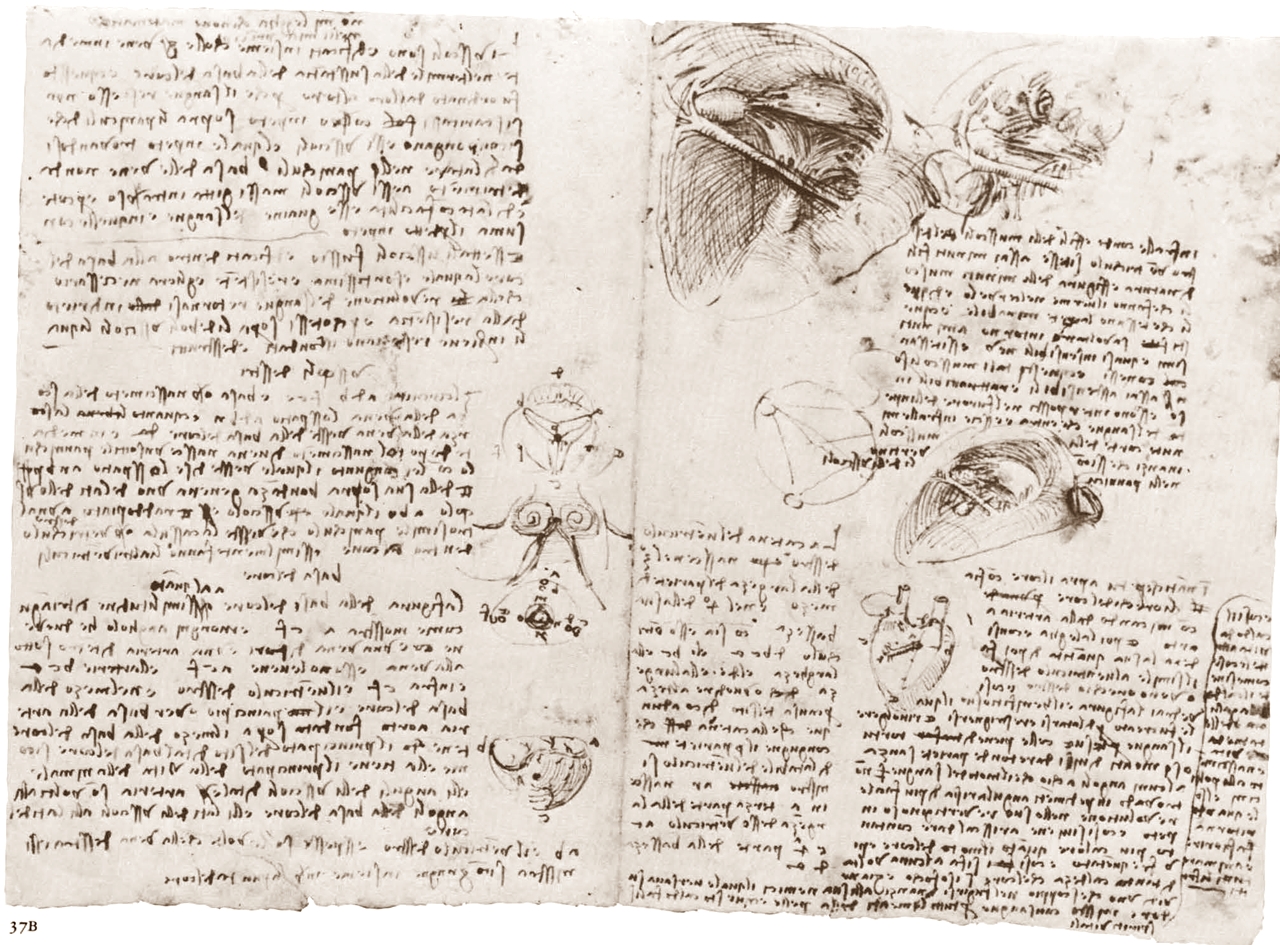 Leonardo+da+Vinci-1452-1519 (812).jpg